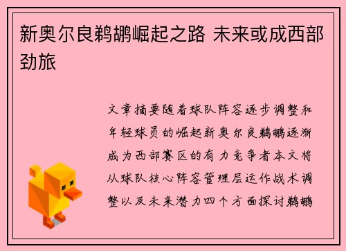 新奥尔良鹈鹕崛起之路 未来或成西部劲旅